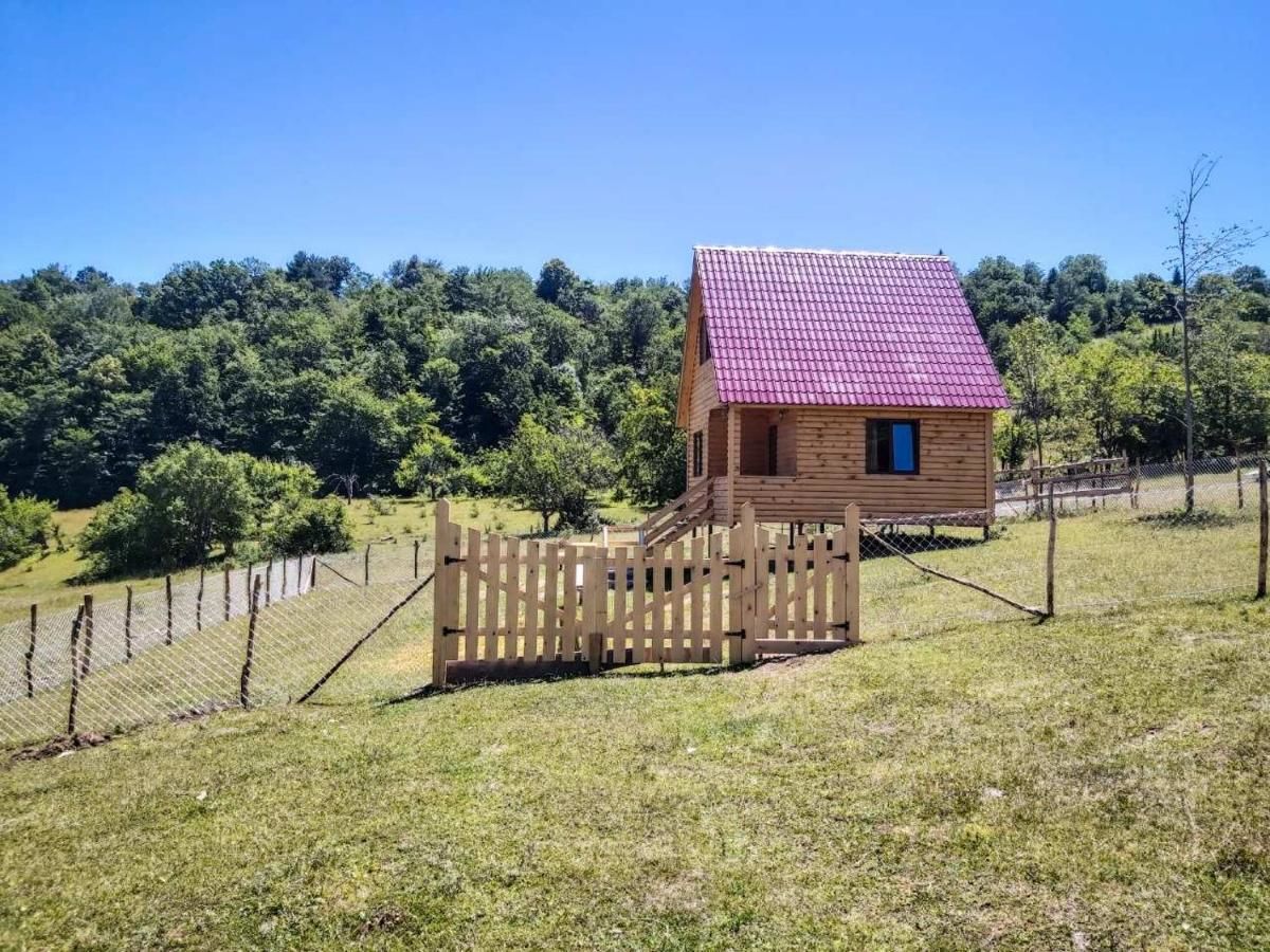 Гостевой дом Cottage AGARAKI Tsitelubani-11