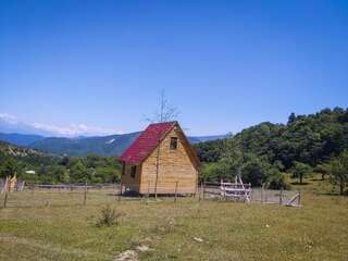 Гостевой дом Cottage AGARAKI Tsitelubani-2